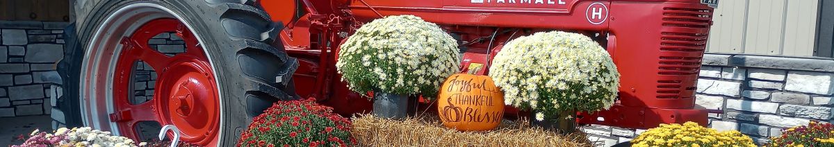 Our Daily Bread Bulk Food